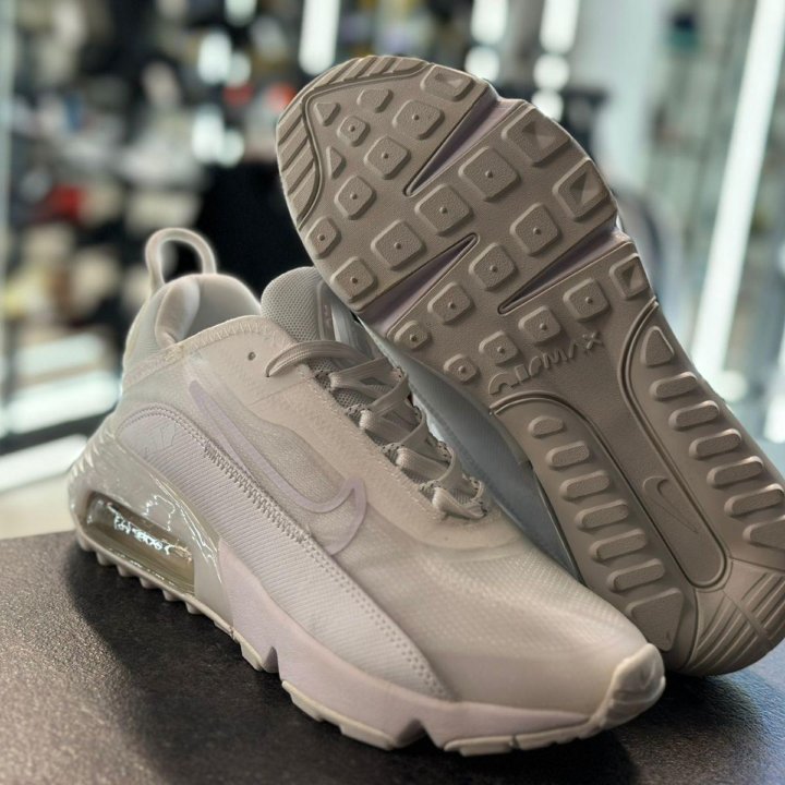 Кроссовки Ж Nike Air Max 2090