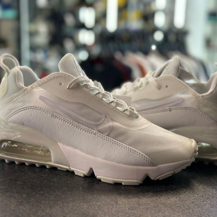 Кроссовки Ж Nike Air Max 2090