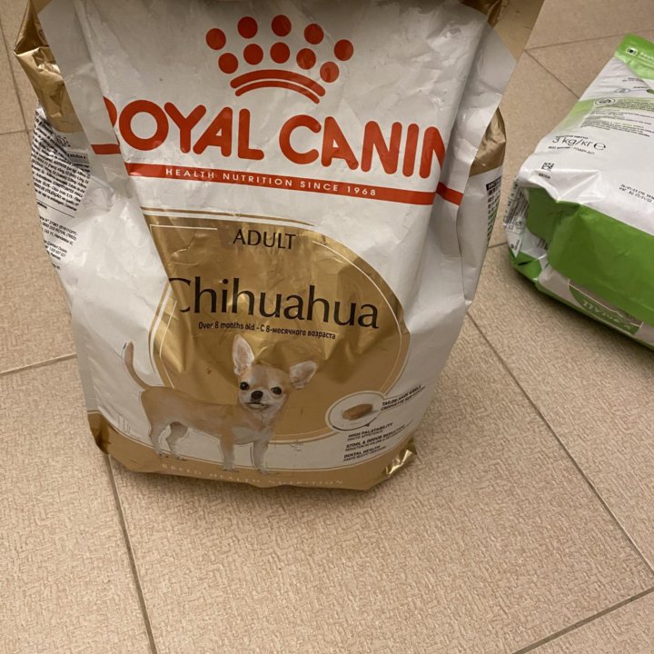 Корм для чихуахуа с 8 месяцев royal canin