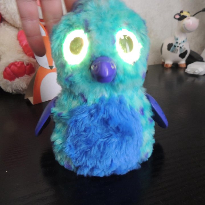 Интерактивная игрушка hatchimals. Колпино