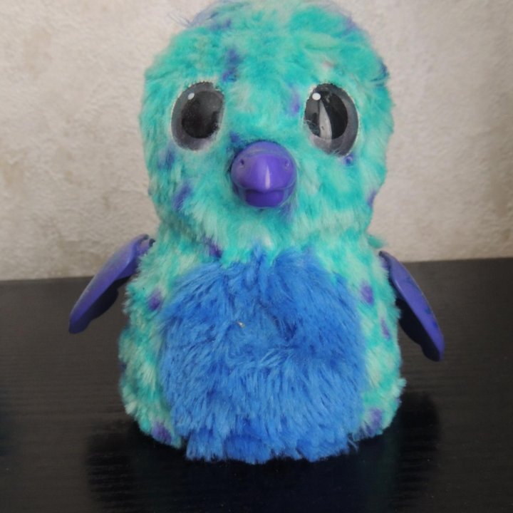 Интерактивная игрушка hatchimals. Колпино