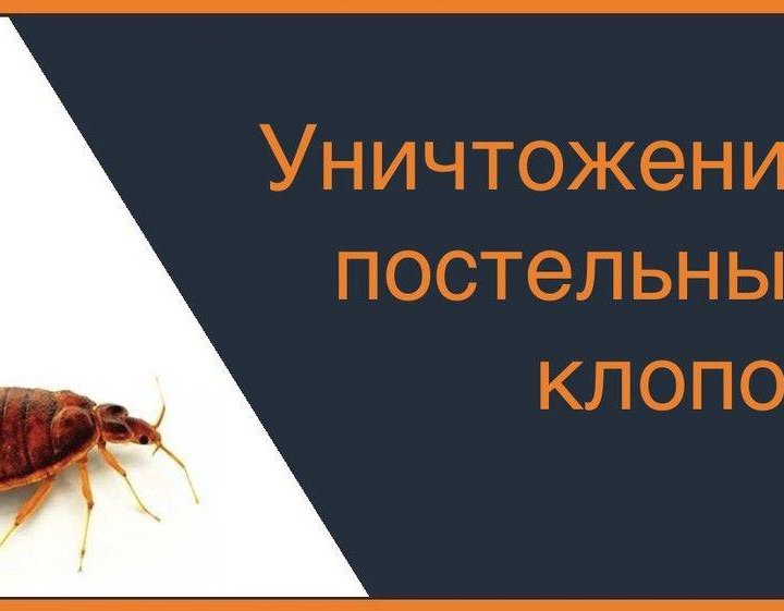 Дезинфекция, СЭС ,потравить Клопов,Тараканов,Блох