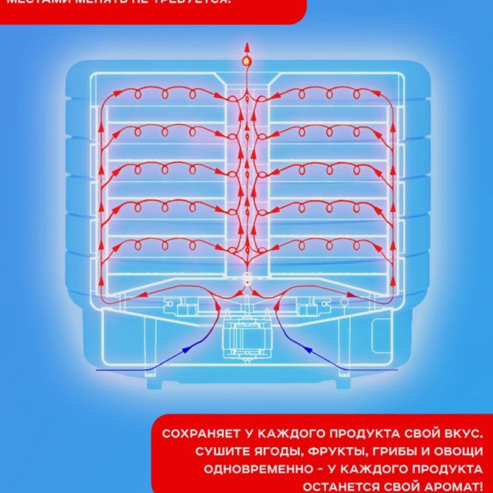 Новая сушилка для овощей и фруктов волтера 1000
