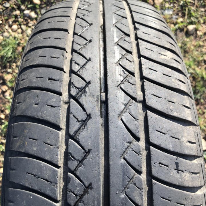 185/65 R15 шина летняя Барум 1шт