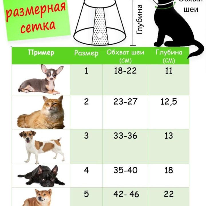 Защитный воротник для животных.