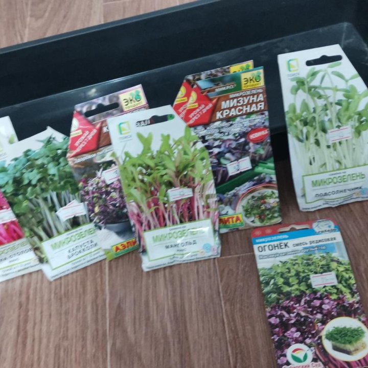 Семена микрозелень+ящик для расады