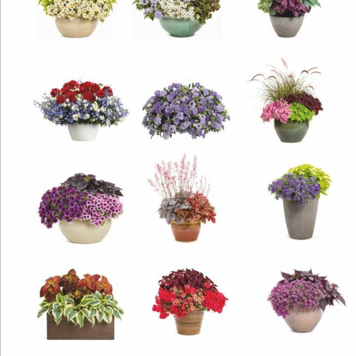 60 цветочных схем для кашпо и вазонов