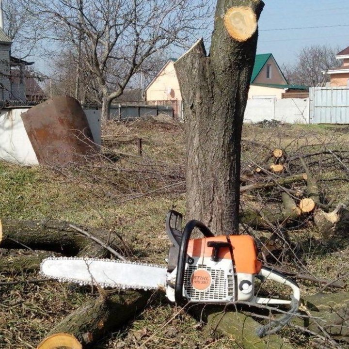 Спил деревьев, Покос травы, Расчистка участка