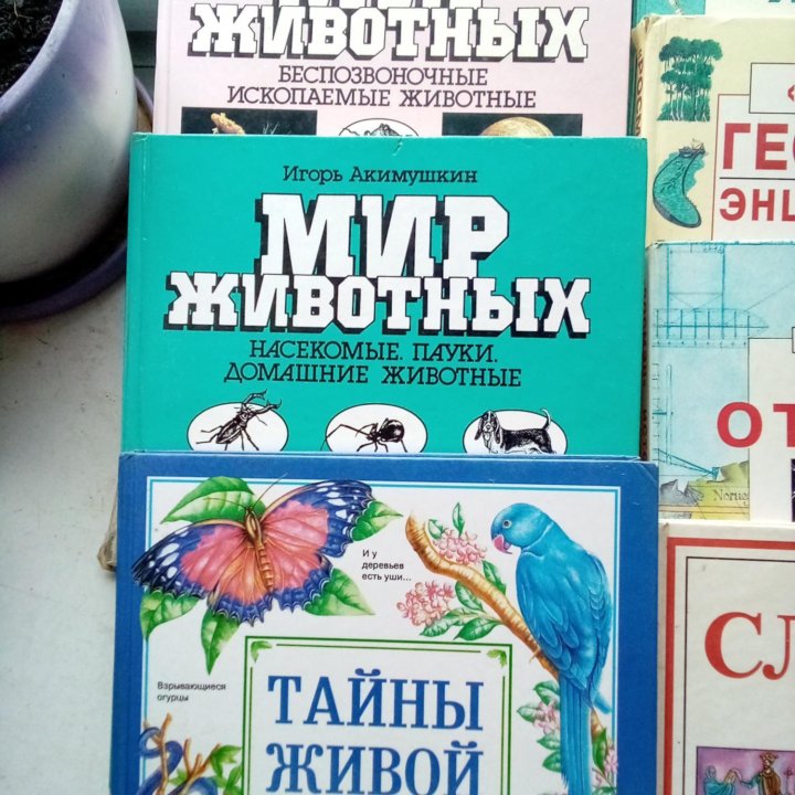 Детские книги энциклопедии