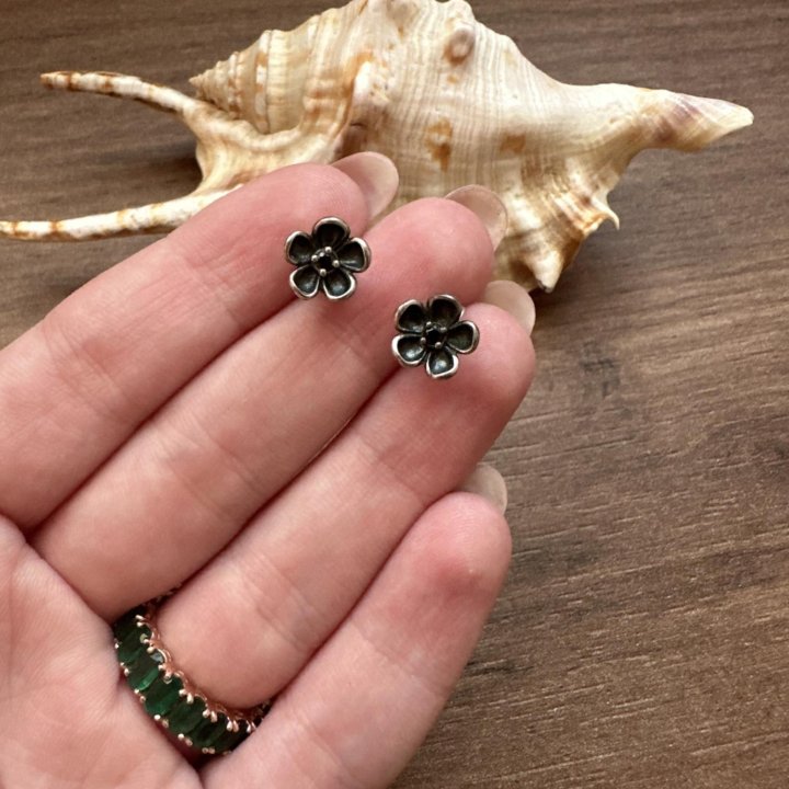 Серьги Pandora