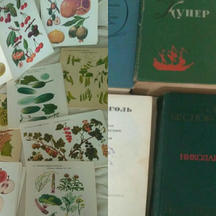 книги ссср,картинки ссср-овощи,фрукты