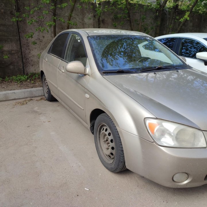 Kia Cerato, 2006