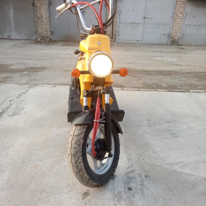 Honda Bite-50