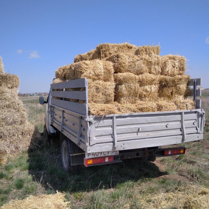 Грузоперевозки любого вида.