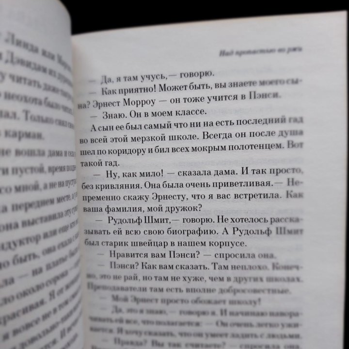 Над пропастью во ржи Джером Сэлинджер, 1984 Оруэлл