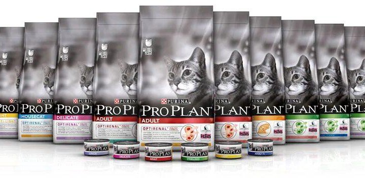 Купить Корм Pro Plan Для Котят