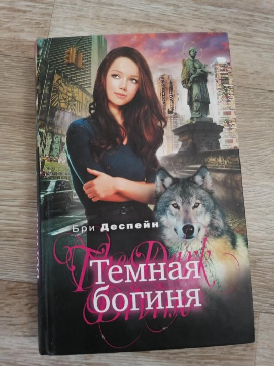 Книга богиня на кухне