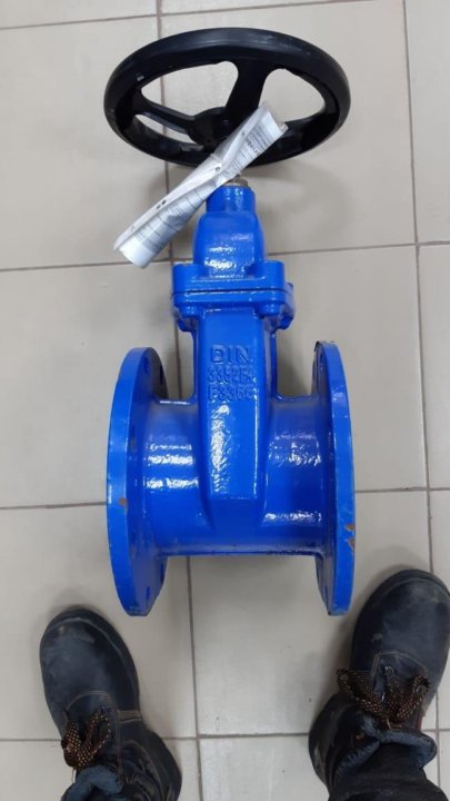 Задвижкa dn100 pn16ggg50. Ggg50 задвижка. Ggg50 задвижка dn100. 30ч39р задвижка с обрезиненным клином. Ggg50 задвижка.