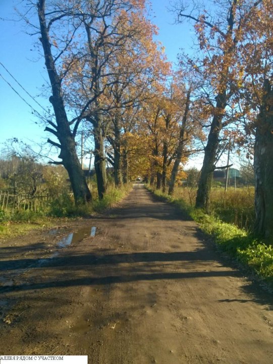 Деревня Новолисино Вконтакте Фото