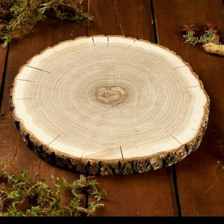 Деревянные срезы. Спил деревянный круглый. Деревянный срез. Спилы дерева для декора. Деревянный срез для декора.