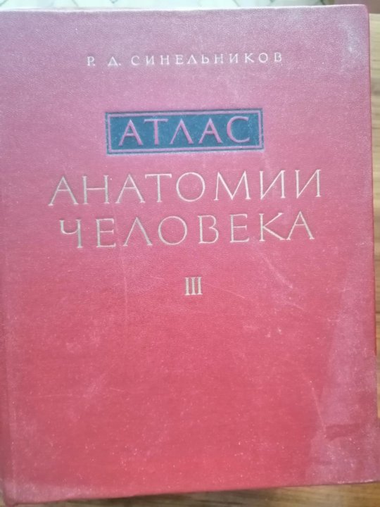 Атлас анатомии 3 тома. Атлас анатомии человека Синельников 2. Атлас анатомии человека Синельников. Учебник итальянского языка. Атлас анатомии человека Синельников том 4.