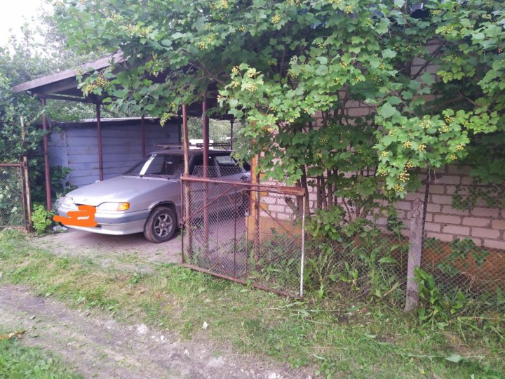 Пронский брехунок новомичуринск