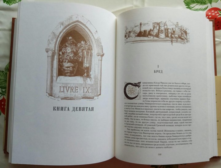 Картинки книга собор парижской богоматери