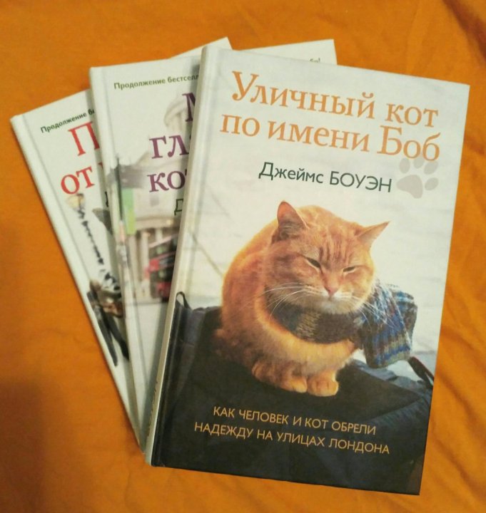 Кот боб книга