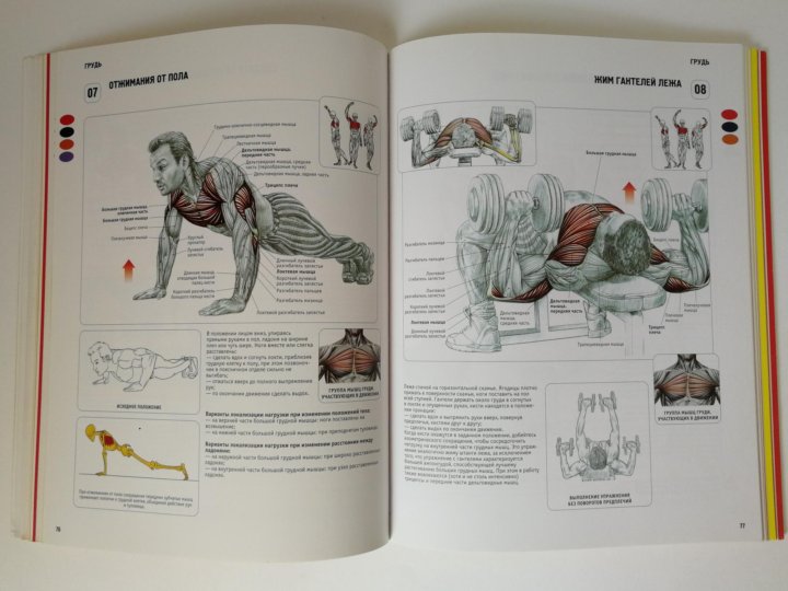 Анатомия физическая культура. Анатомия силовых упражнений Фредерик Делавье 5 издание. Фредерик Делавье мышцы. Анатомия силовых упражнений Фредерик Делавье плечи. Книга анатомия силовых упражнений Фредерик Делавье.