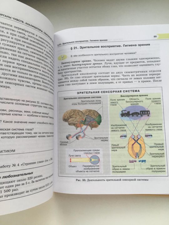 Гдз по биологии 8 класс рохлов исследовательский проект