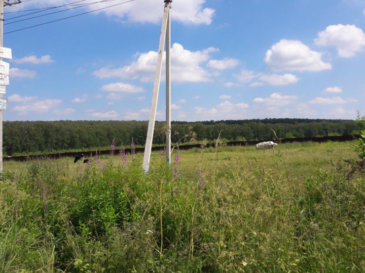 Купить Участок Ижс В Домодедово