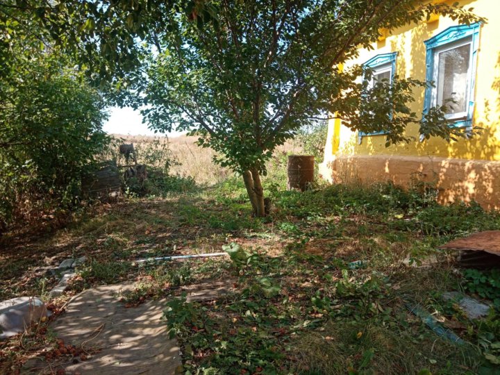 Купить Дом В Селе Ломово Рамонского Района