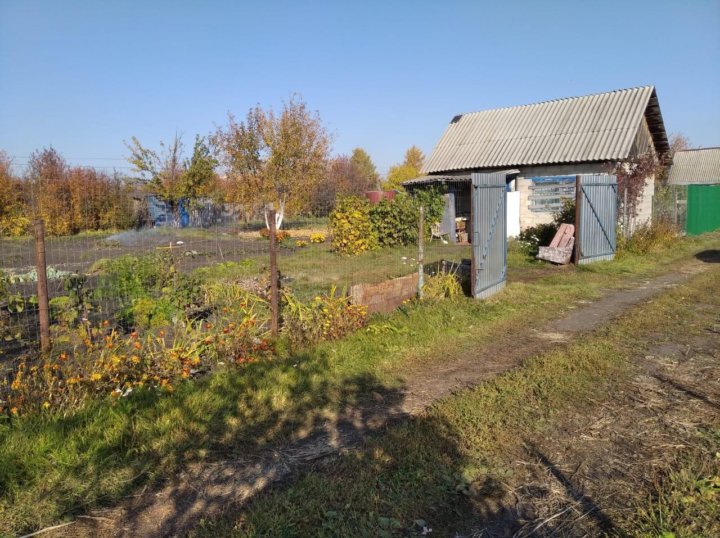 Снт каучук омск. СНТ рассвет Стерлитамак. СНТ рассвет Коммунар. СНТ рассвет Ульяновск. СНТ рассвет Уфа.