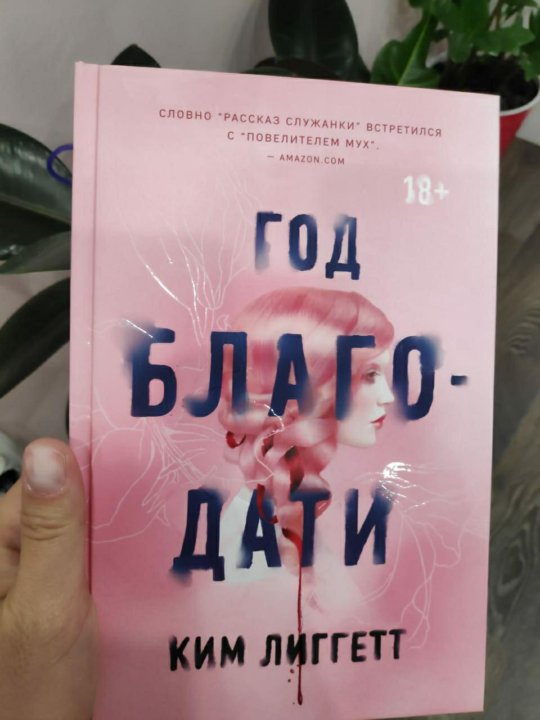 Год благодати книга