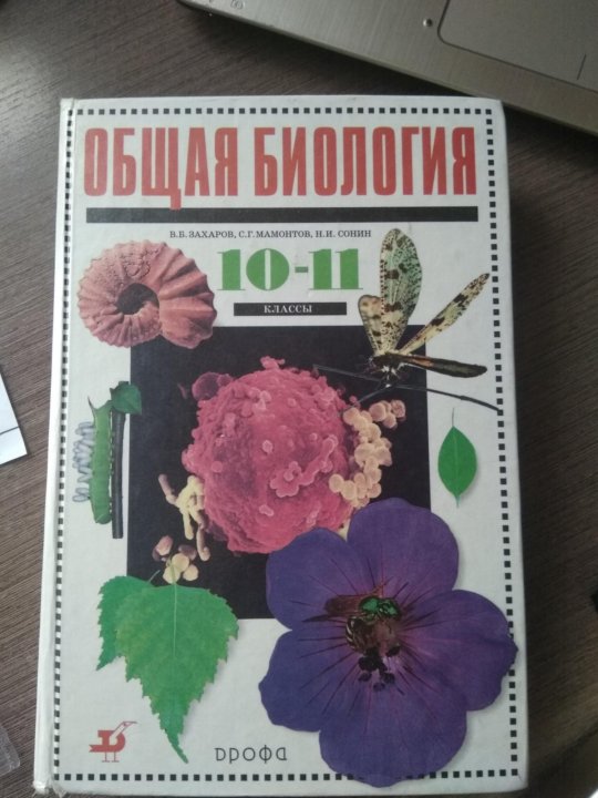 Биология пасечник дрофа 8 класс. Пасечник биология 6 класс издательство дрофа. Авито учебник по биологии. Криксунов е. Авито учебник по биологии.