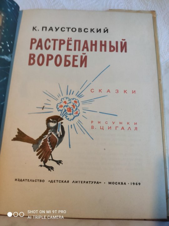 Паустовский растрепанный воробей краткое