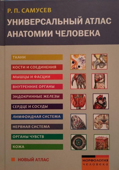 Самусев атлас анатомии. Анатомический атлас Самусев Липченко. Атлас по анатомии Самусев р п. Атлас анатомии человека Самусев 2003.