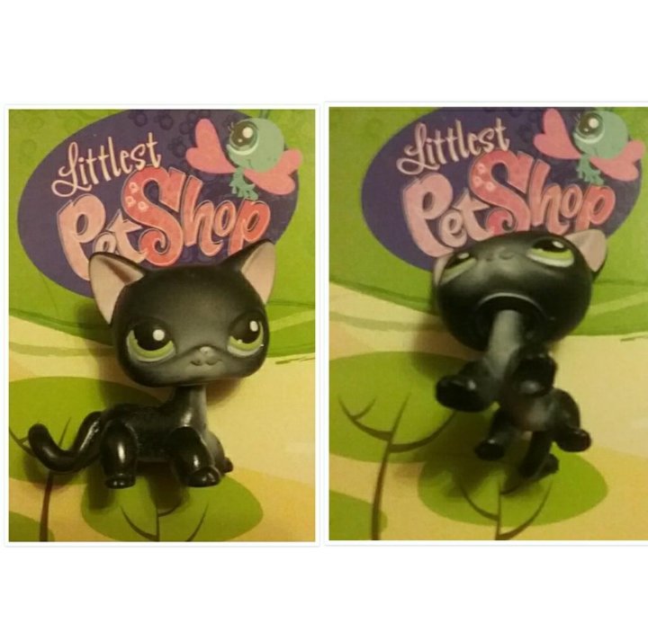 littlest pet shop 336
