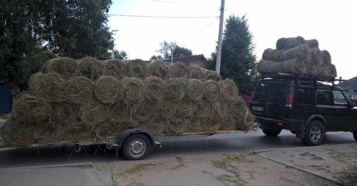 Купить Сено В Тверской Области На Авито