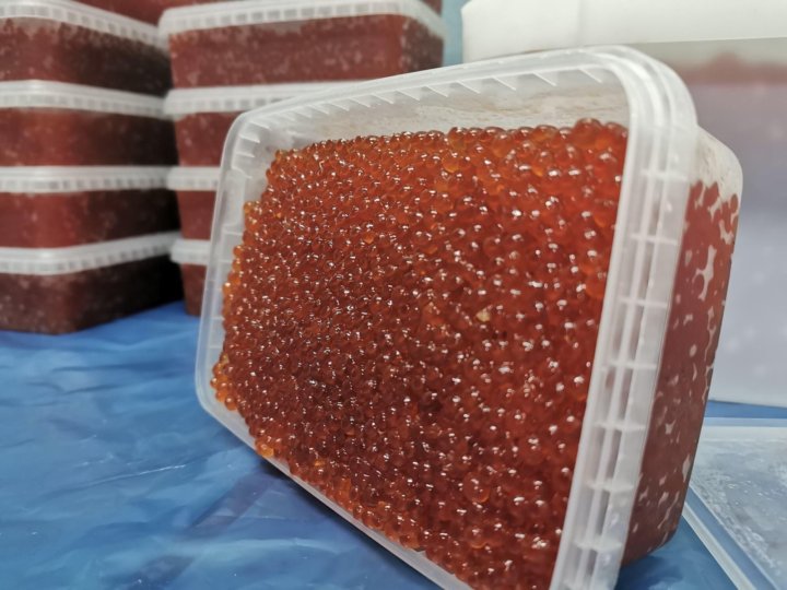 Купить Икру Оптом Во Владивостоке