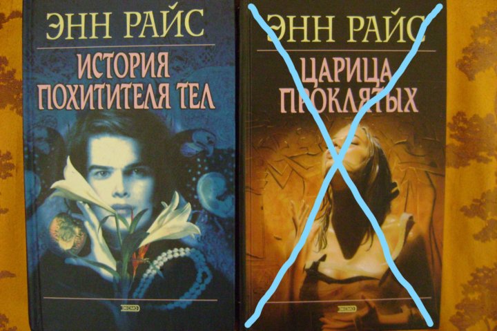 мемнох-дьявол. история похитителя тел книга. история похитителя тел энн райс книга. история похитителя тел. райс э.