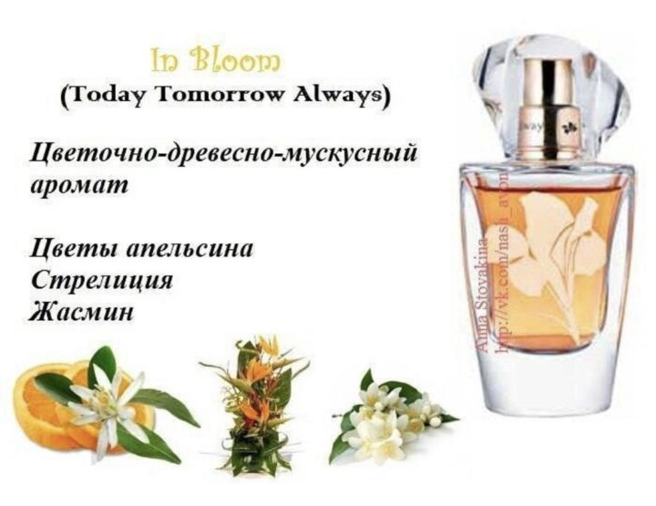 In bloom avon. Эйвон духи ин Блум. Парфюмерная вода Avon in Bloom. Духи эйвон in Bloom. Туалетная вода ин Блум от эйвон.