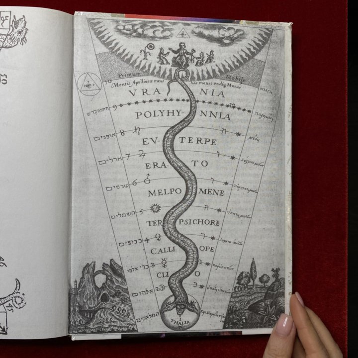 Книга бытия читать на русском. Книга про змей. Магия белой змеи книга. Змейка с книгой. Змея с книгой.