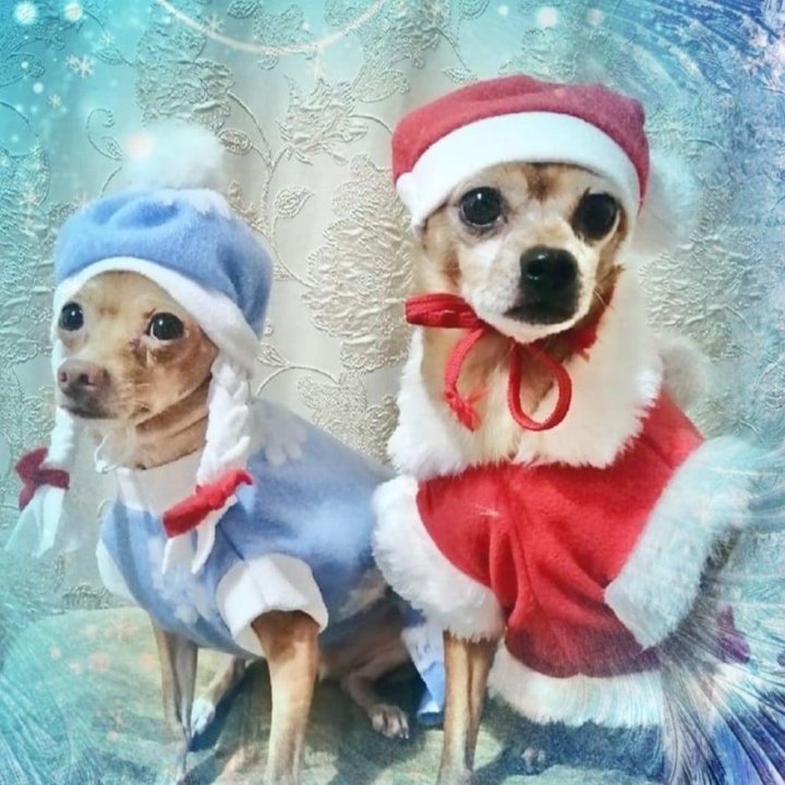 Новогодние Костюмы Животных Новогодние Костюмы Животных