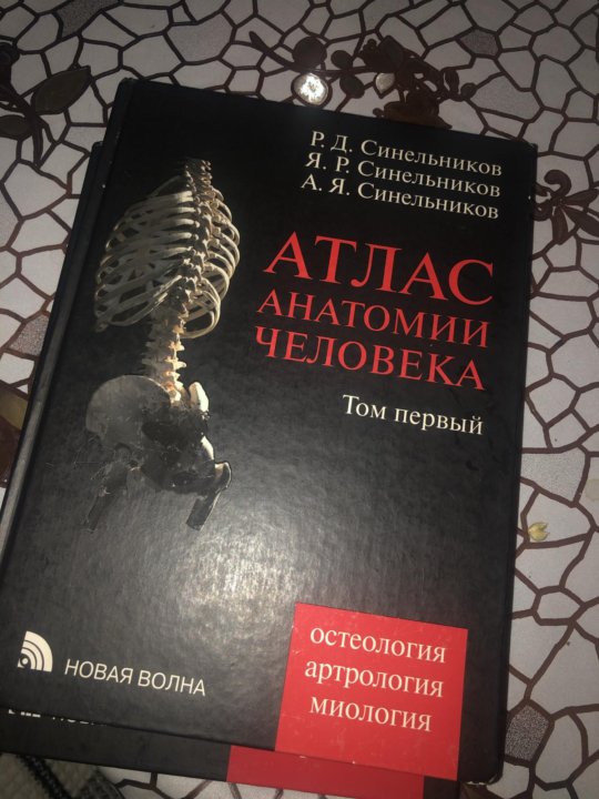 Атлас синельникова анатомия 2 том. Атлас по анатомии Синельников. Атлас Синельникова анатомия. Атлас анатомии человека Синельников 1 том. Синельников 1 том.