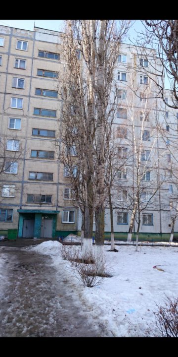 макаренко 3 старый оскол. ул макаренко 3а старый оскол. макаренко 3а. макаренко 3 старый оскол. макаренко 3а.