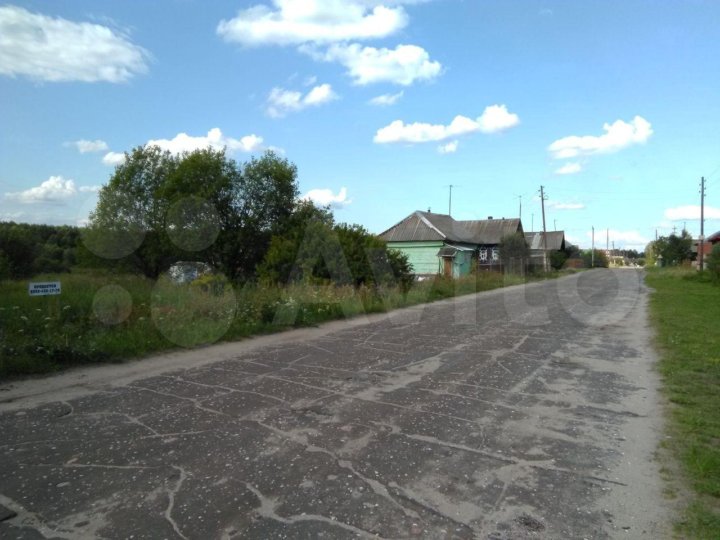 Д осинки. Осинки семенов.
