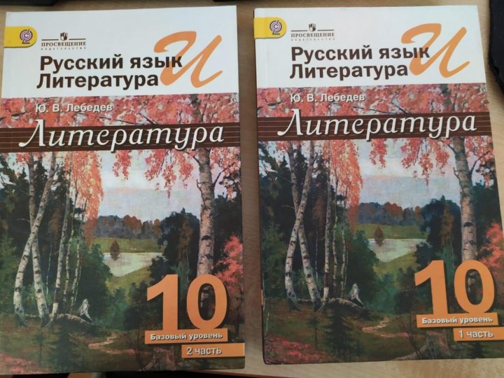 Русския язык 10 класс учебник. Русский язык 10 класс гусарова учебник. Хрестоматия 10 класс литература. 10 кл русский язык и литература. Русский язык учебник для 10 класса воителева.