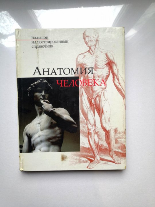 Анатомия книга. Анатом книга. Анатомия природы книга. Книга Николая ли анатомия. Книга анатомия любви с черной обложкой.