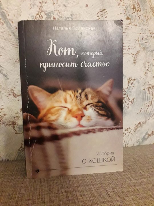 кот приносящий счастье. кот приносящий счастье. кошка в дом счастье принесет. рыжий кот открытка. котик счастья.